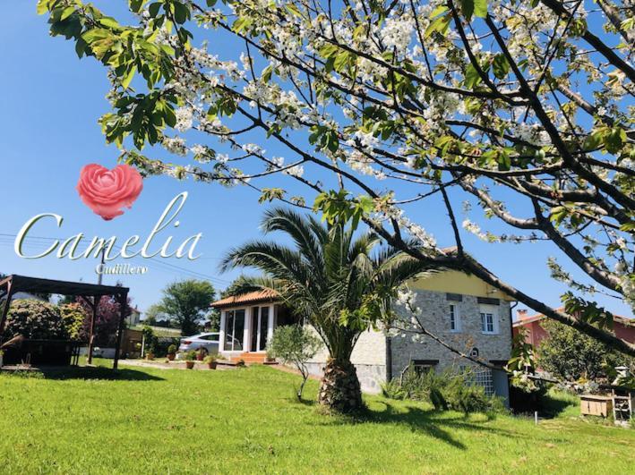 Camelia Casina Rural Villa Albuerne Ngoại thất bức ảnh